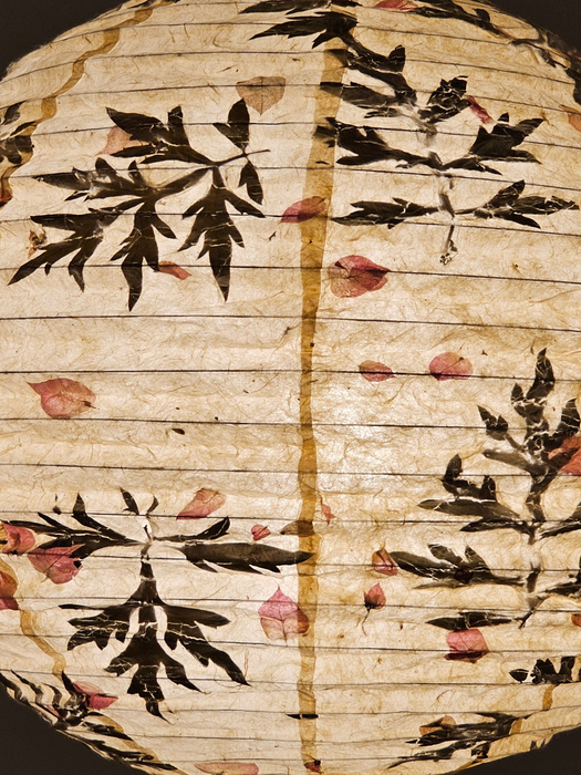 Paper Lamp shade | Fern and Petal Mixed - 1