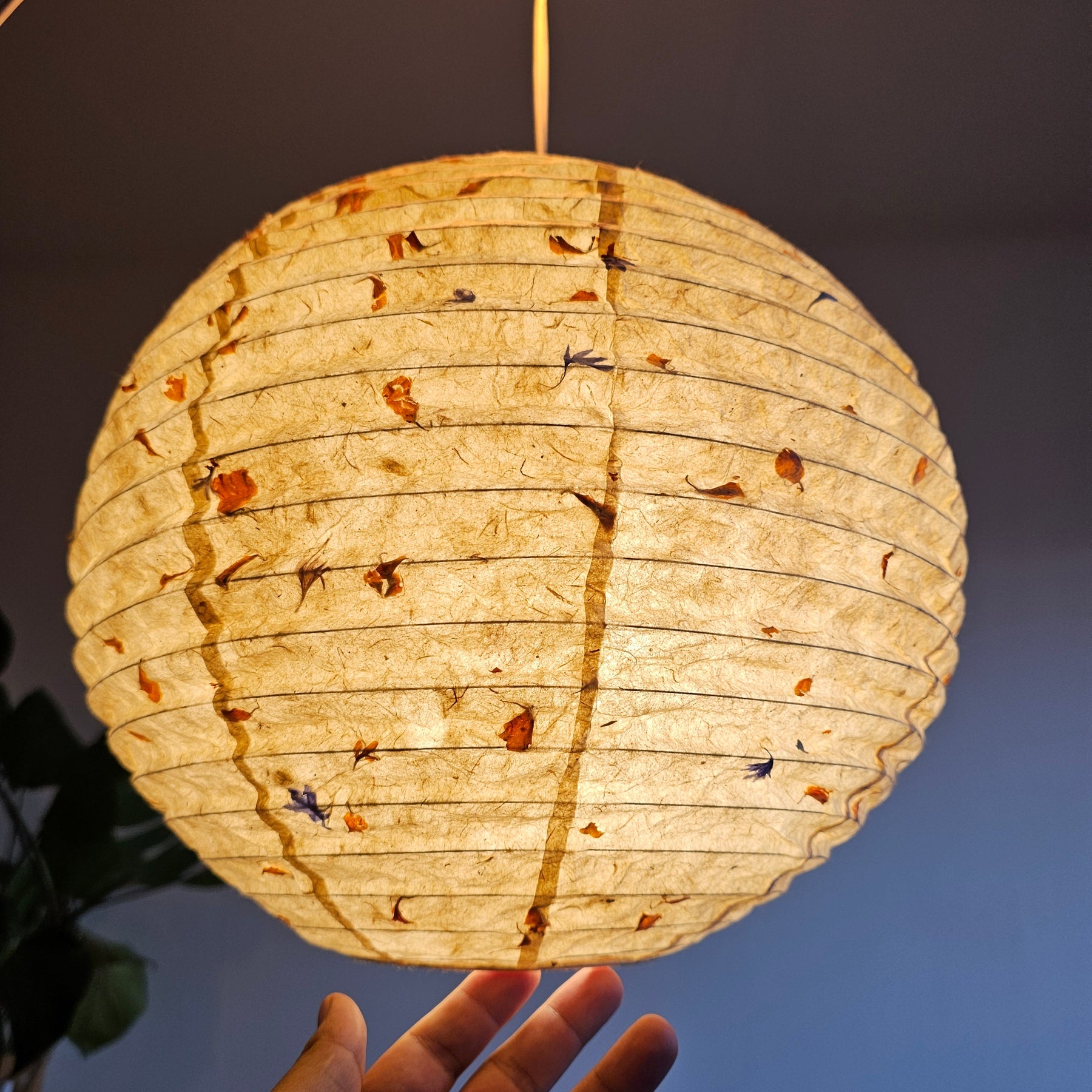 Round and Oval Lokta Paper Lampshades: Every Colour and Design