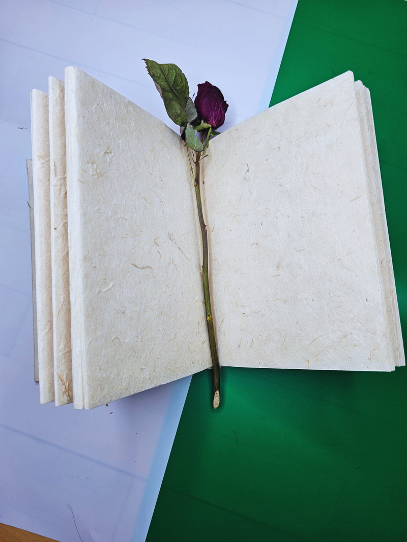 Handmade Multi-Color Lokta Paper Journal
