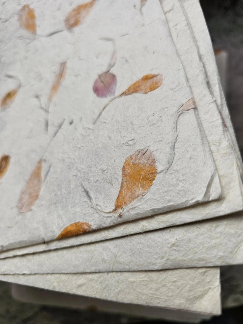 Handmade A4 Marigold Petal Lokta Paper Sheets – 20 Pack