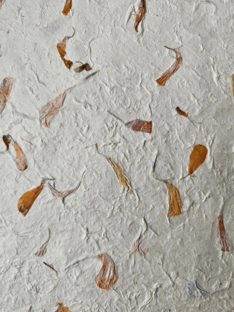 Handmade A4 Marigold Petal Lokta Paper Sheets – 20 Pack