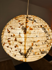 Paper Lamp shade  Fern Marigold Petal Mixed  front