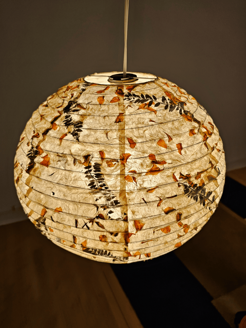 Paper Lamp shade  Fern Marigold Petal Mixed upper top view