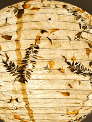 Paper Lamp shade  Fern Marigold Petal Mixed closed view