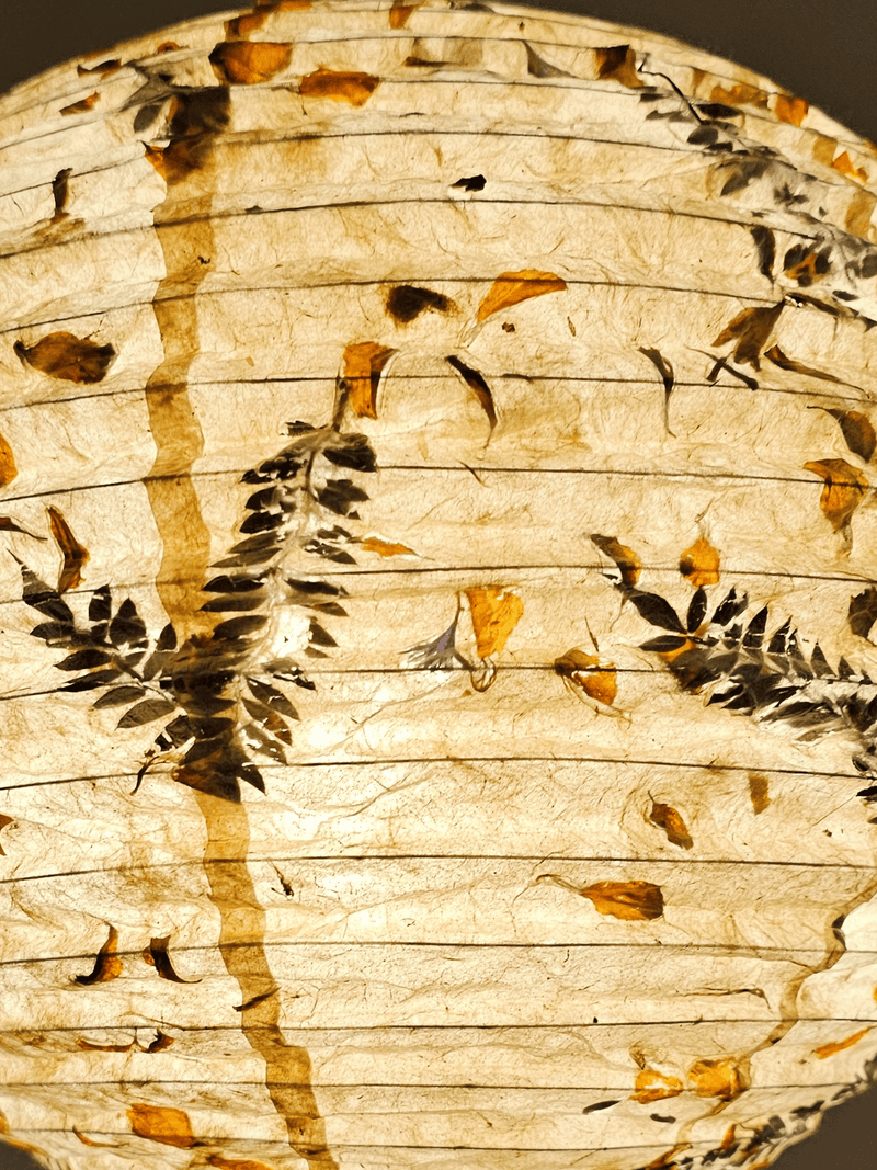 Paper Lamp shade  Fern Marigold Petal Mixed closed view