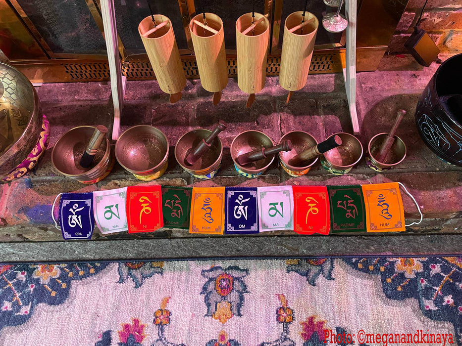 Tibetan Singing Bowl Set of 7 With Mantra Chakra Healing, Hand Hammered, Meditation Bowls